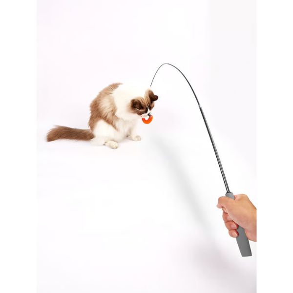 פופוס צעצוע חכה טיזר תולעת נשלף