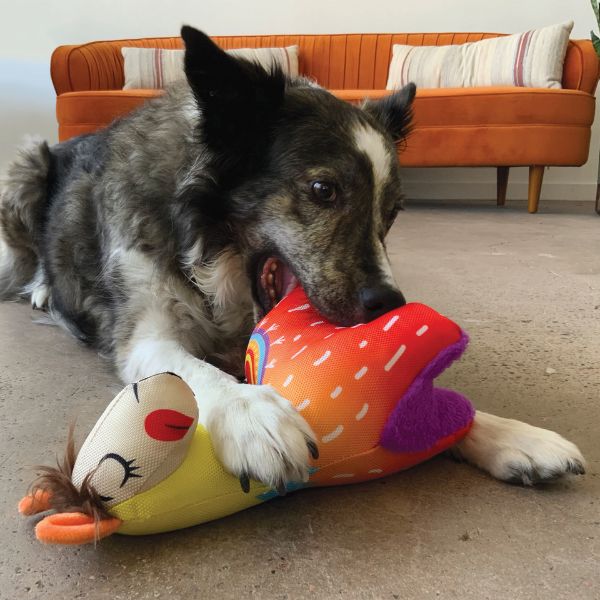 קונג Ballistic לאמה - גדול