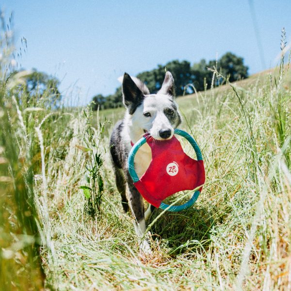 זיפי פוז חבל פריסבי גליידרס ורוד