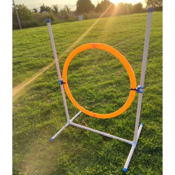 מתקן אג'יליטי לכלבים מקפצה איכותית וחזקה קוטר 65