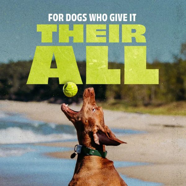 בנבון Bounce Ball כדור אינטראקטיבי מגומי טבעי