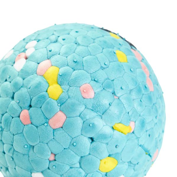 זיפי פוז כדור אוויר קופצני קל וחזק במיוחד Zippy AirTuff