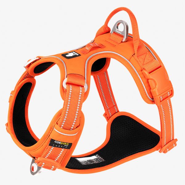 רתמה מלאה מרופדת טרו לאב True Love *דגם משופר* סגול - S