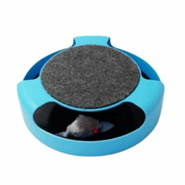 משחק מחבואים לחתולים עם מגרדה