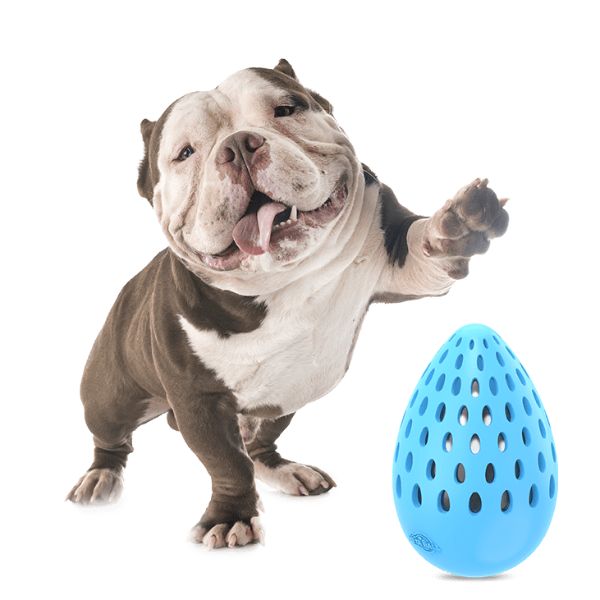 ביצת מטא AFP - בינוני