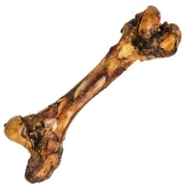 האו ומיאו עצם דינו ענקית טבעית ענקית 40-50 ס"מ