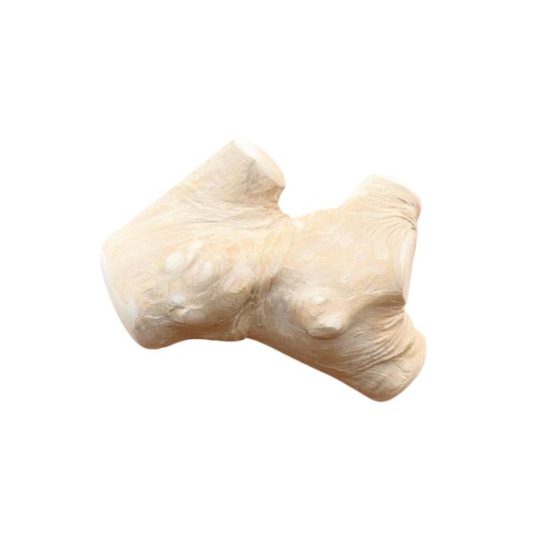 נייצר קיטשן Nature's Kitchen מקל לעיסה עץ קפה 100% טבעי Gorilla Chew - קטן