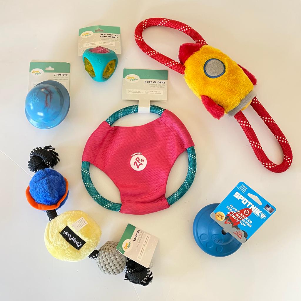 Space Kit - ערכת צעצועי חלל לכלבים