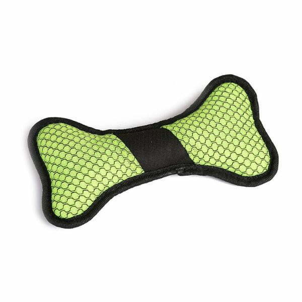 נשכן עצם בד