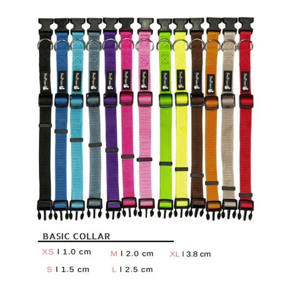 קולר בסיסי לכלבים פטס פרוג'קט במגוון צבעים מידה S