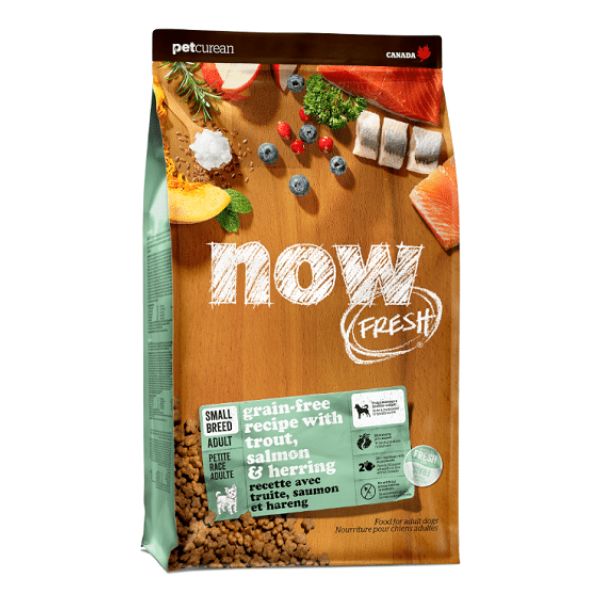 NOW נאו דגים לכלבים מגזע קטן - 10 ק"ג