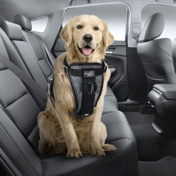 AFP רתמת בטיחות חזקה ואיכותית לרכב - XL