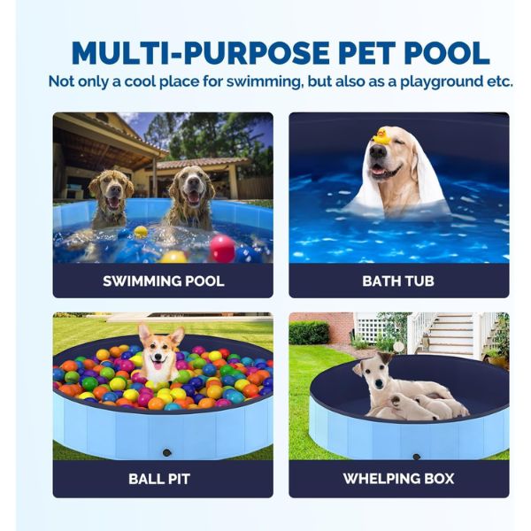 Pawise בריכה קשיחה לכלבים בינונית - 120 ס"מ