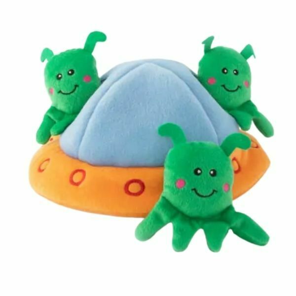 זיפי פוז חללית וחייזרים