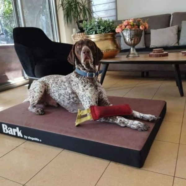 Bark בארק מזרן אורטופדי לכלבים ענק - 150X100 ס"מ