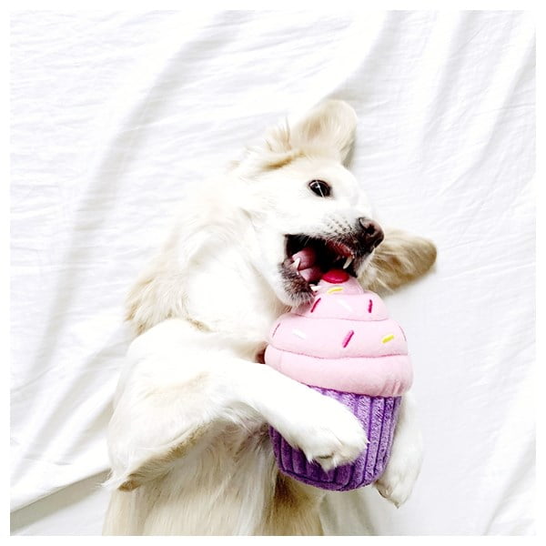 זיפי פוז קאפקייק