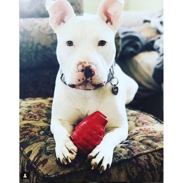 סודה פאפ רימון חטיפים והעשרה - M