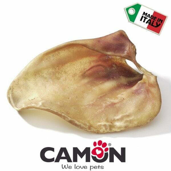 קמון אוזן חזיר ענקית מיובשת 100% טבעי