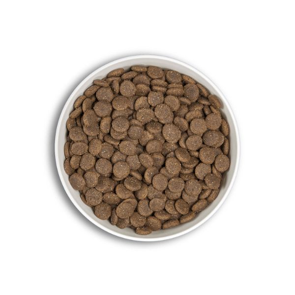 ארה ERA ברווז וכבש - 12 ק"ג