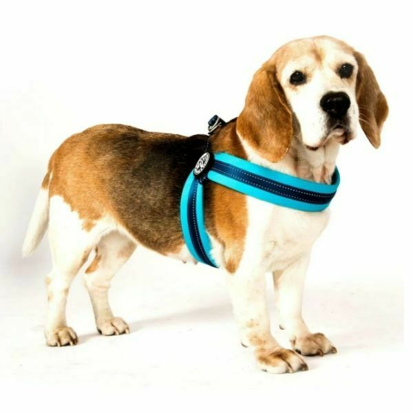 מקס אנד מולי רתמה Q-FIT - מטריקס ורוד