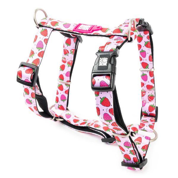 מקס אנד מולי רתמה מרופדת - תותים