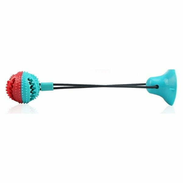 צעצוע לכלבים כדור עם ואקום לרצפה