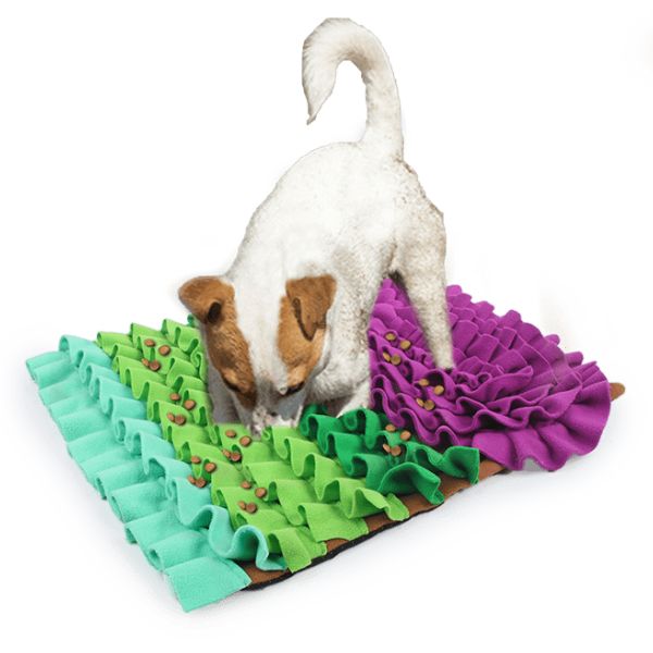 שטיח הרחה פלאפי מלבבנית 52X43 ס"מ AFP