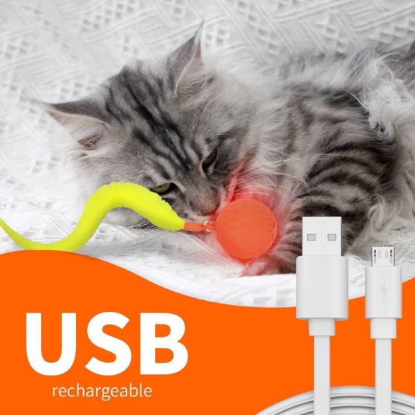 כדור אקשן חכם לחתולים עם זנב AFP