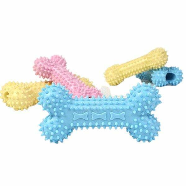 צעצוע נשכן עצם