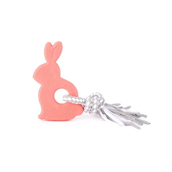 זיפי פוז נשכן לגורים