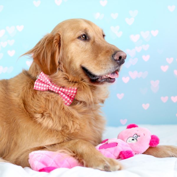 זיפי פוז ג'יגלרז דוב ורוד