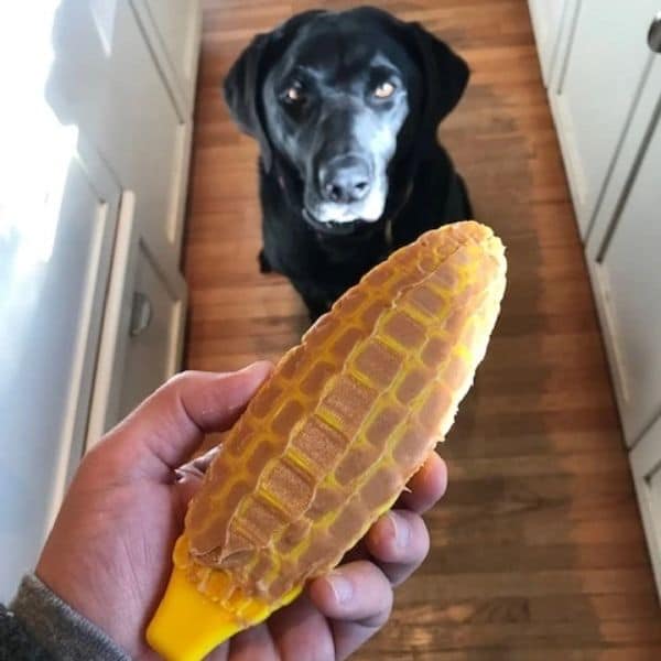 סודה פאפ תירס ליקוק