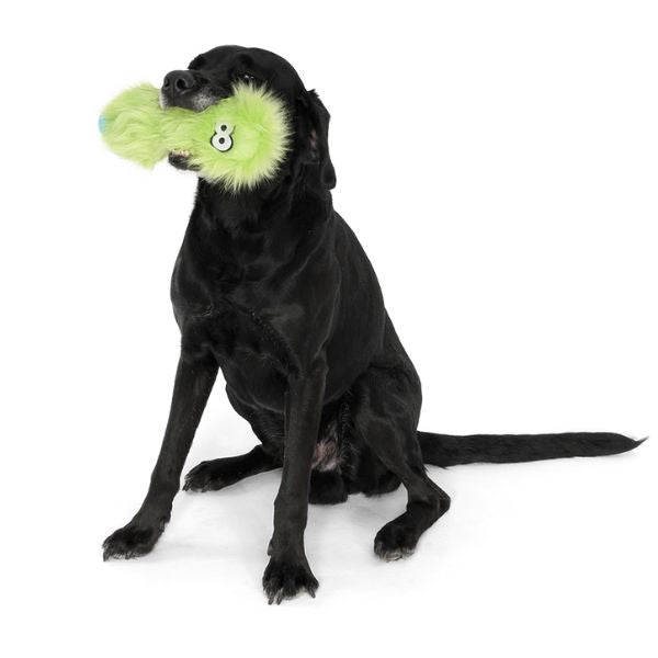 West paw - בובה עמידה במיוחד קסטר