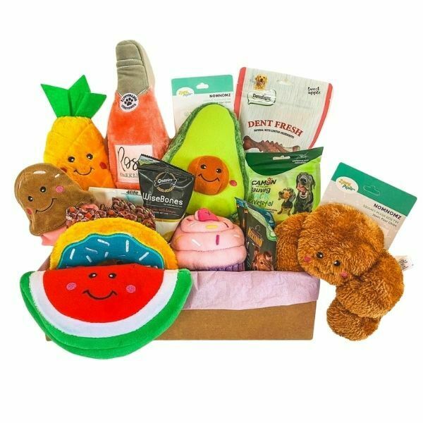 Picnic Kit - ערכת צעצועים איכותיים לכלבים