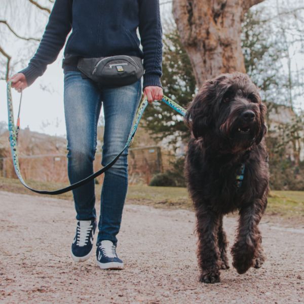 מקס אנד מולי רצועת מולטי Multi Function - כבשים