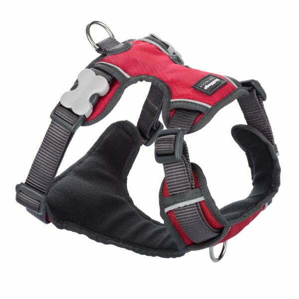 רתמה רד דינגו RedDingo מלאה מרופדת אדום