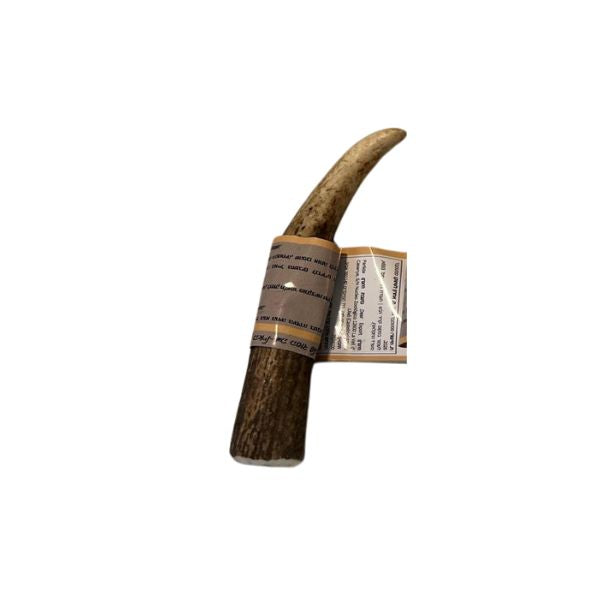 קרן אייל אדום שלמה 100% טבעי - S