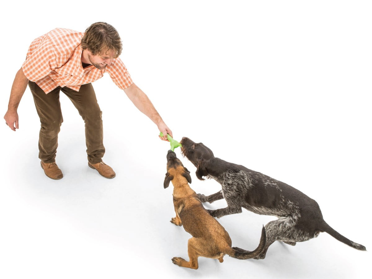 West paw - צעצוע משחק סקאמפ