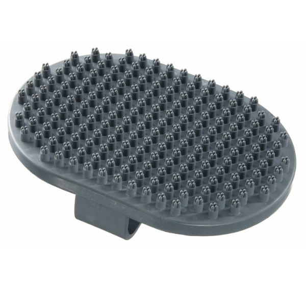 אר פור פט מברשת קרצוף והברשה לפרווה קצרה R4pet