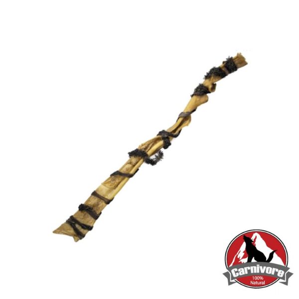 קרניבור קרקפת מלופפת קירשה - 30 ס"מ