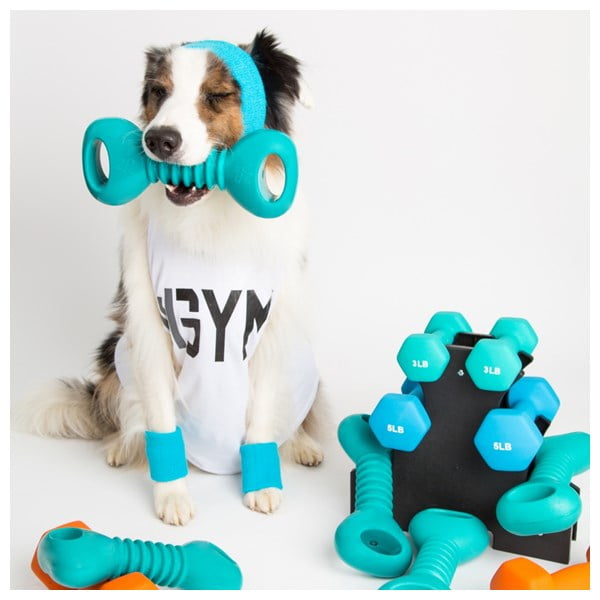 זיפי פוז משקולת מצפצפת