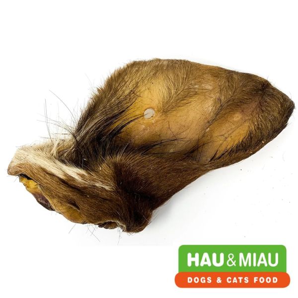 האו ומיאו אוזן בקר JUMBO עם פרווה - 1 יח'