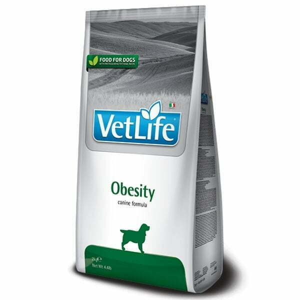 וט לייף אוביסטי לכלבים - 12 ק"ג