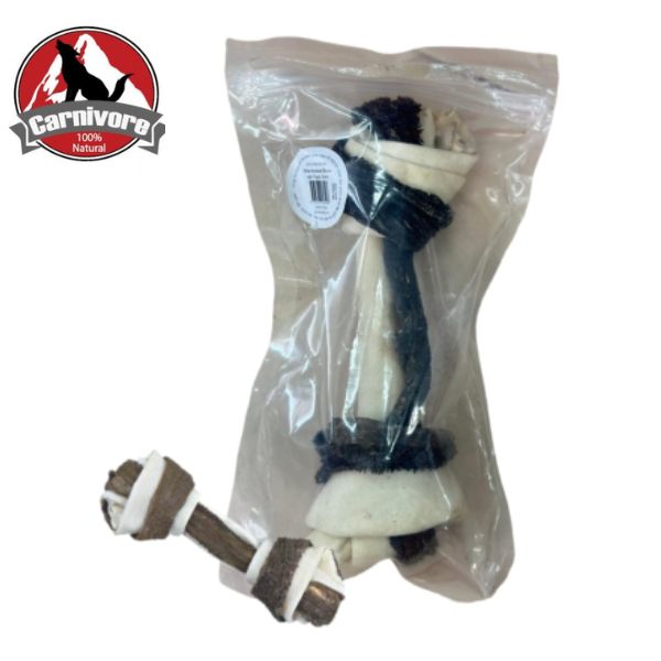 קרניבור עצם קשר עם מעיים - 20 ס"מ