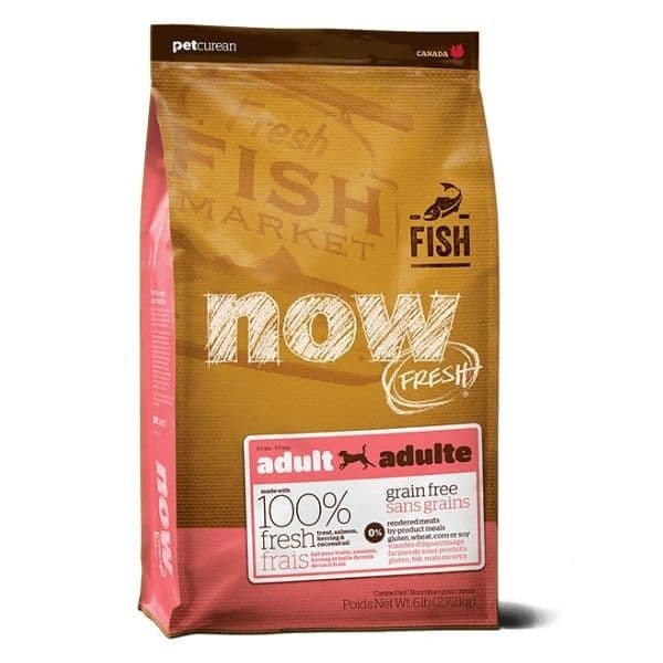 NOW - נאו דגים מזון לכלבים בוגרים