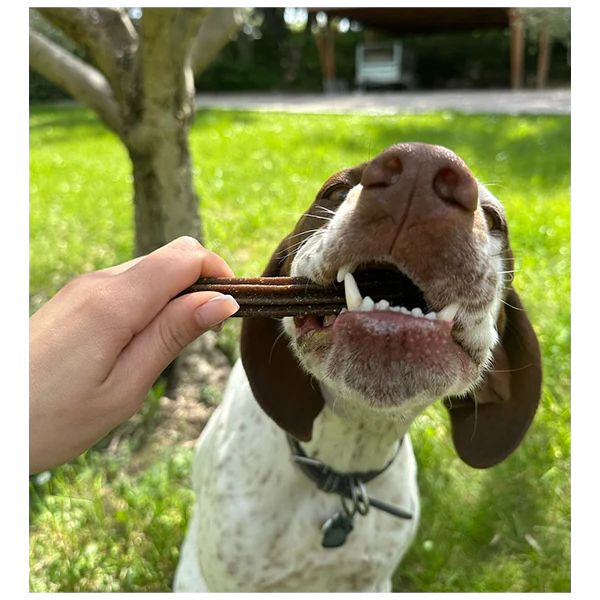 MARLY&amp;DAN חטיף סלמון דנטלי כלב בינוני וגדול - 140 גרם