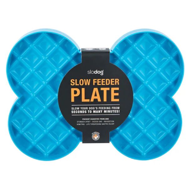 ליקי מט סלו דוג Slodog קערה להאכלה איטית - טורקיז