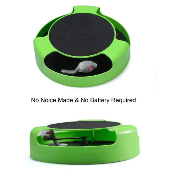 משחק מחבואים לחתולים עם מגרדה