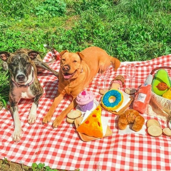 Picnic Kit - ערכת צעצועים איכותיים לכלבים