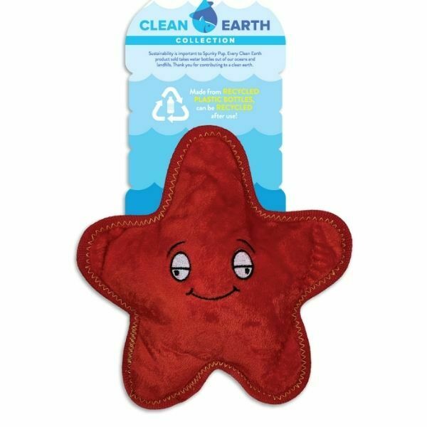 ספאנקי פאפ סקיני כוכב ים גדול